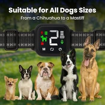 Product illustration for NooBark Anti-Bark Collar